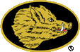 BH Logo BH Logo